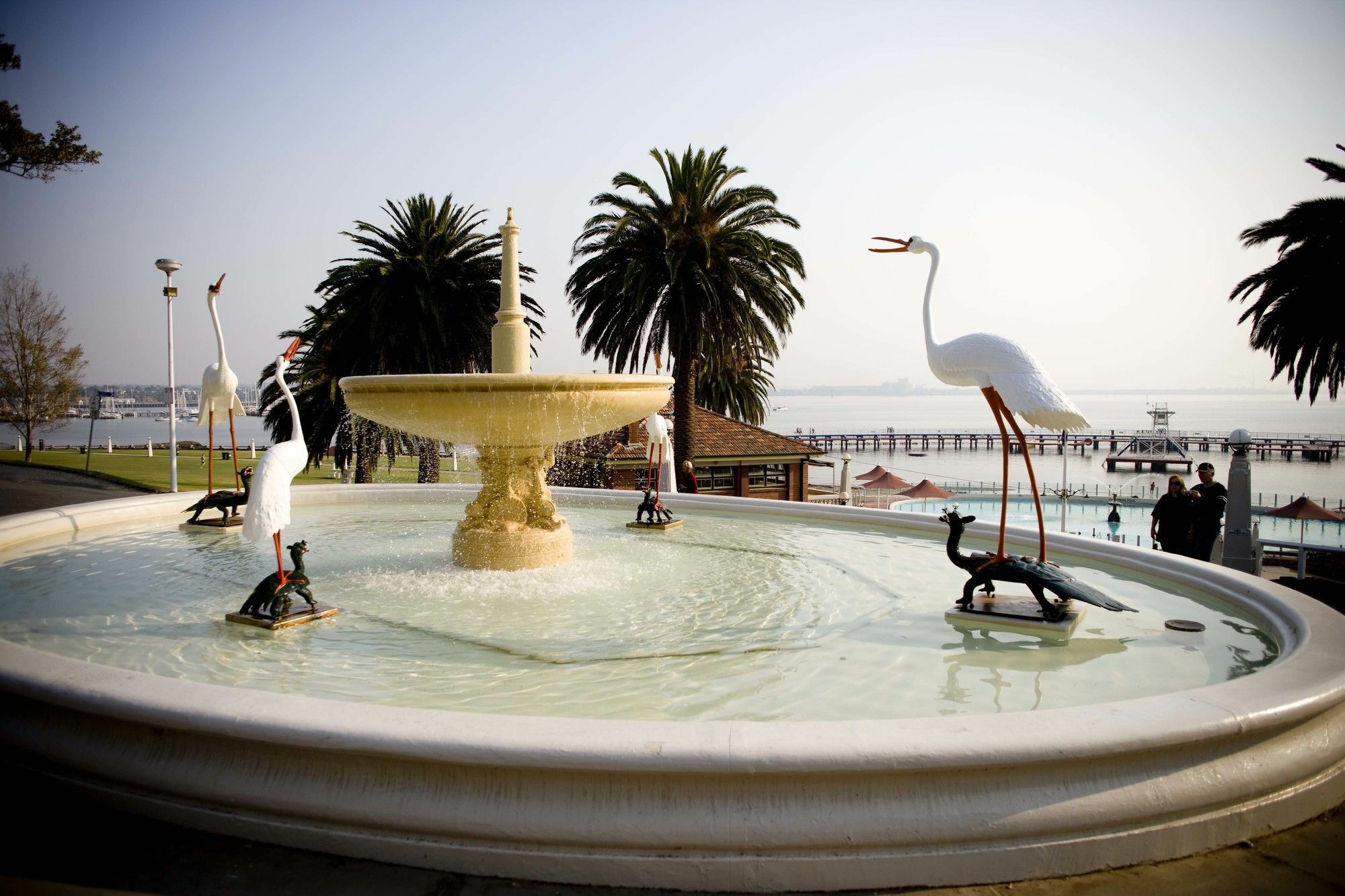 Hotel Rydges Geelong Extérieur photo